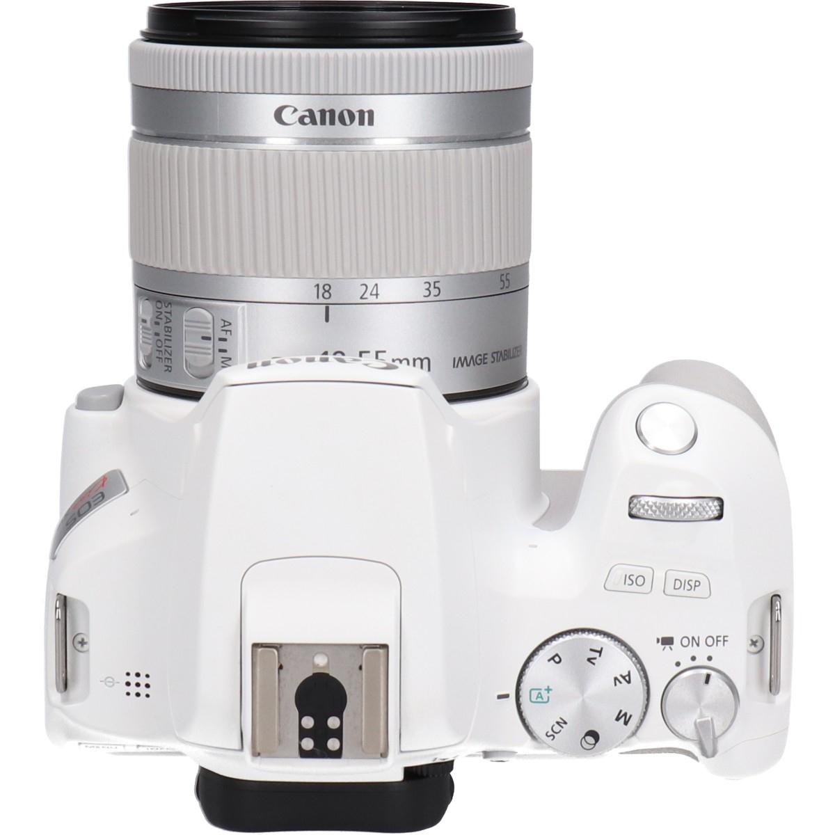 CANON EOS KISS X10 18-55KIT KOMEHYO(コメヒョウ)：カメラファン