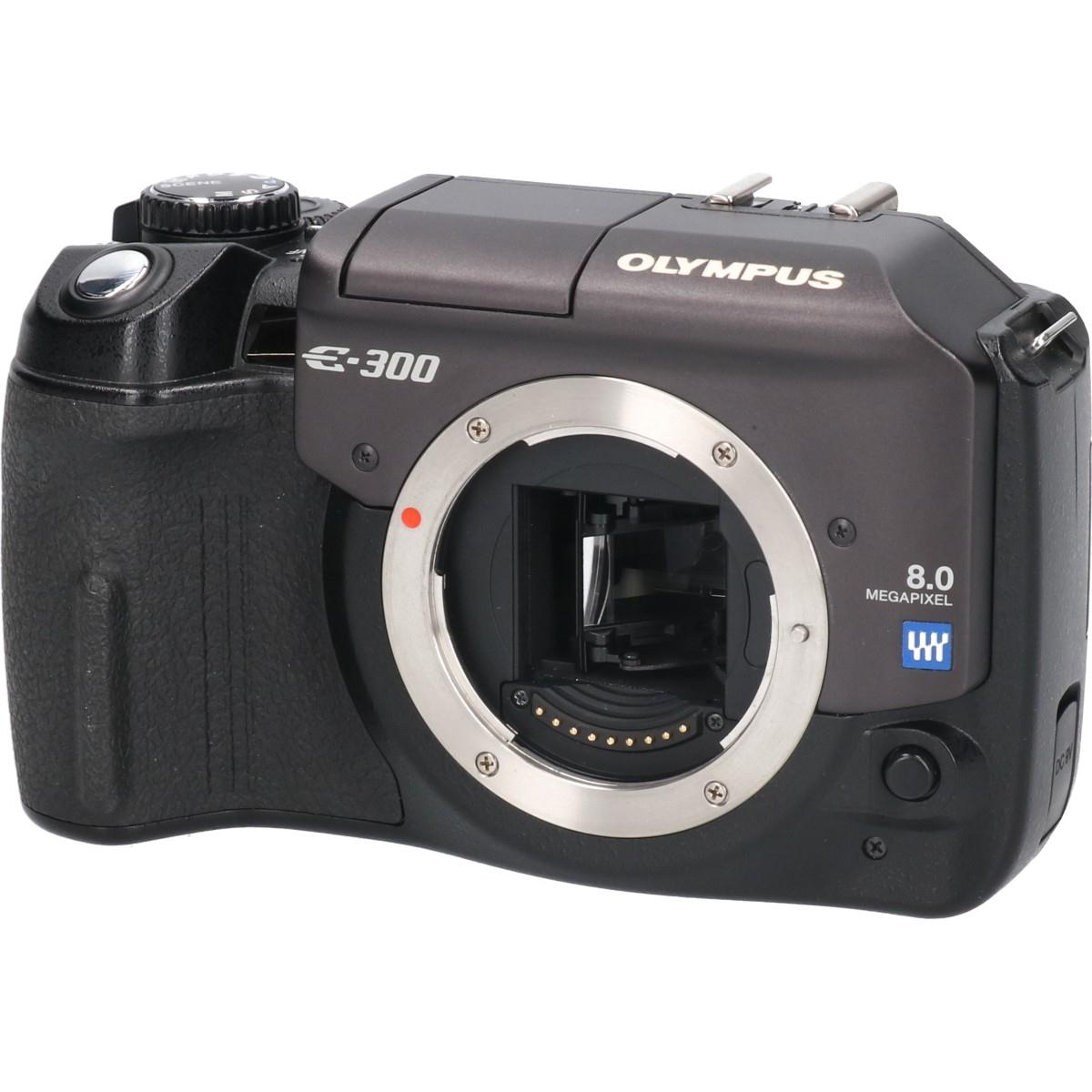 E-300