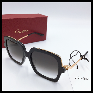 【大幅値下げ】カルティエ Cartier CT0117SA サングラス   B3-14