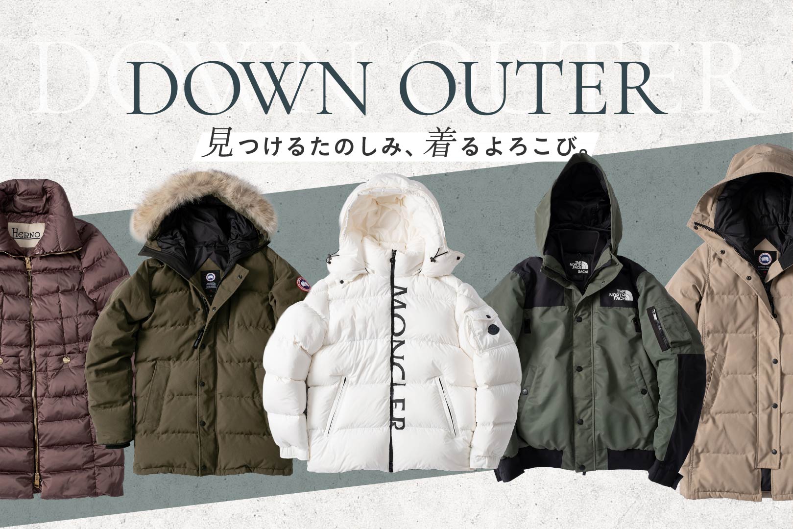 ダウンコレクション