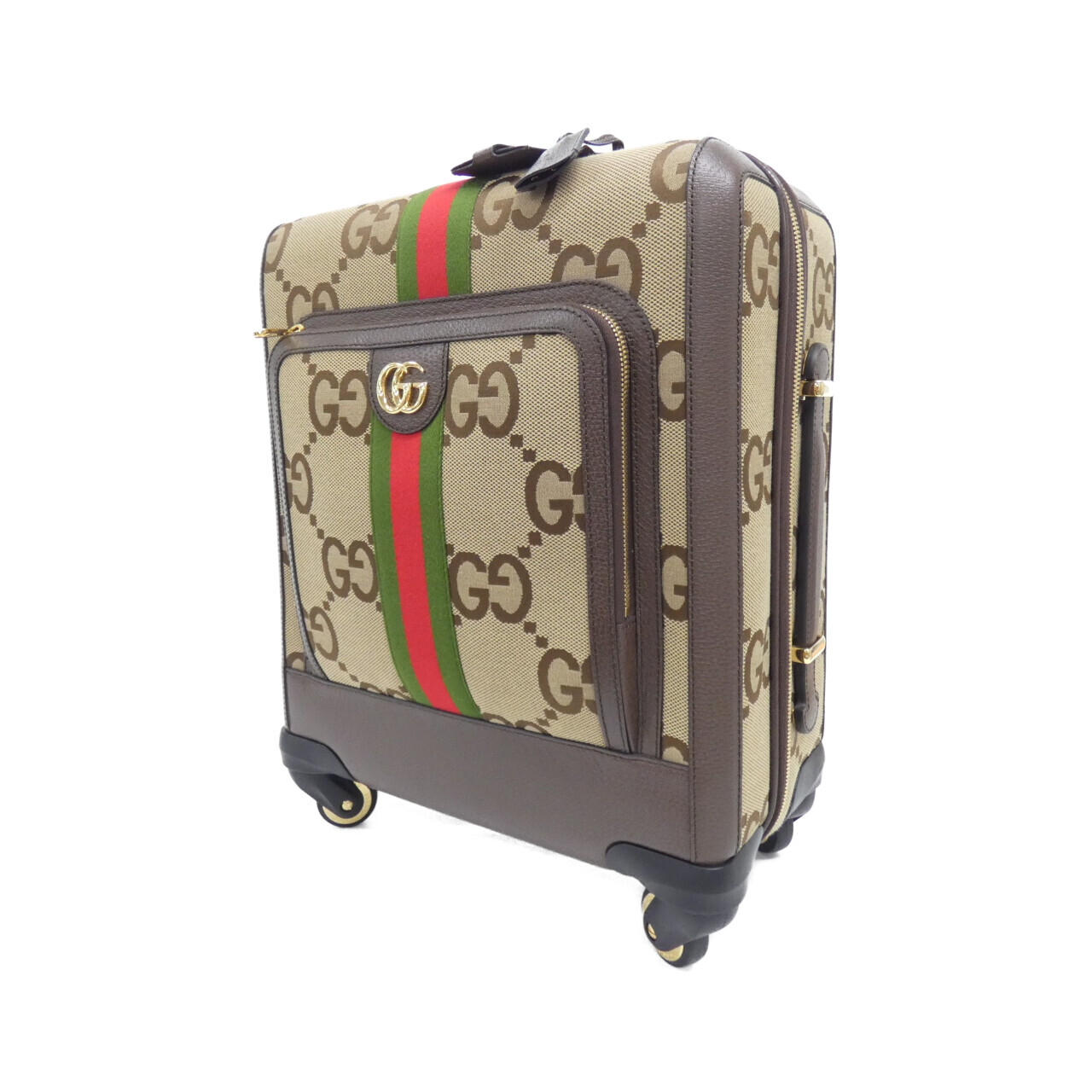 CARRY BAG