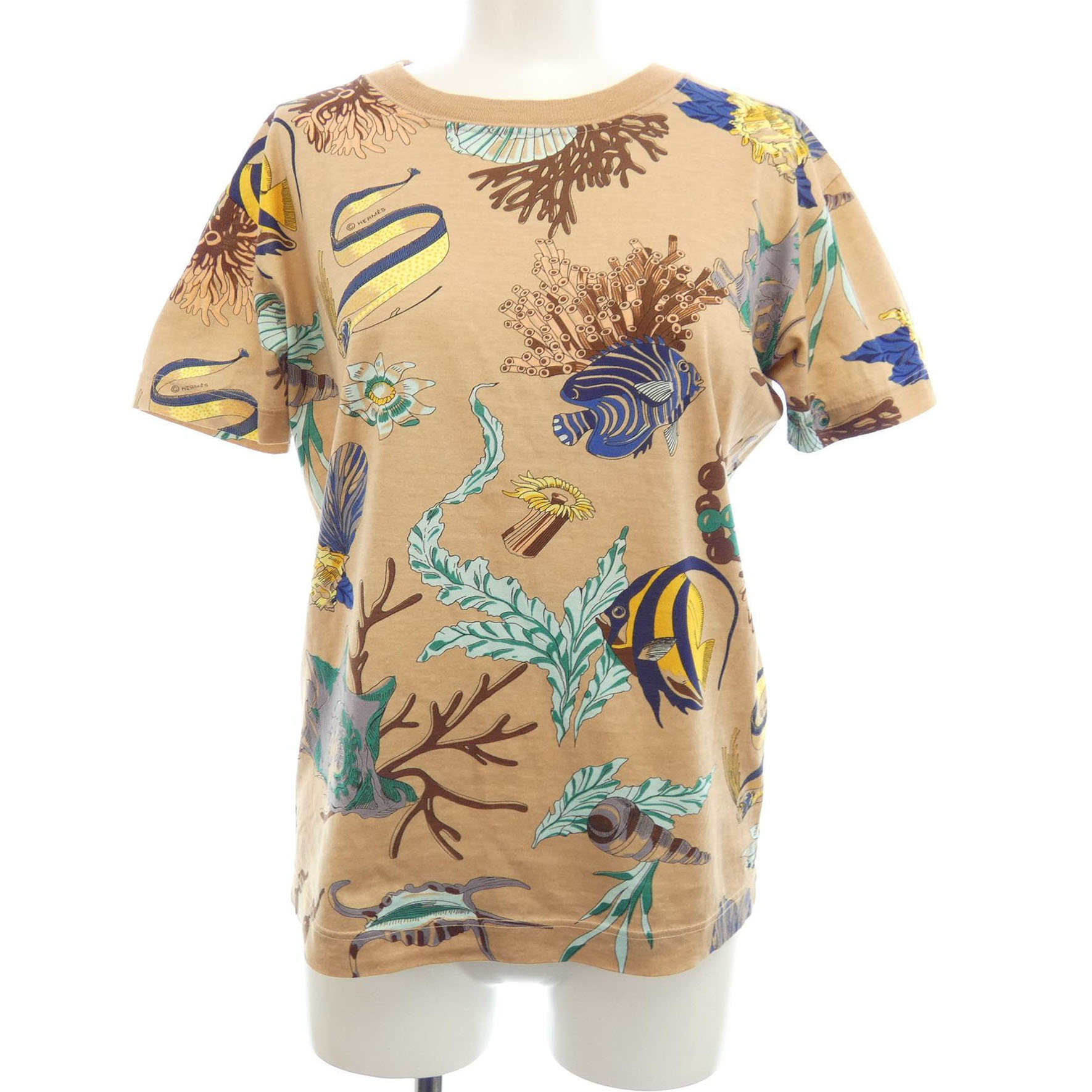 Ｔシャツ