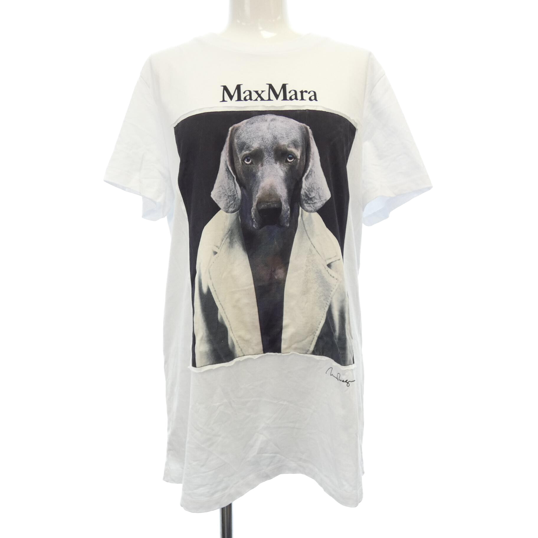 Ｔシャツ