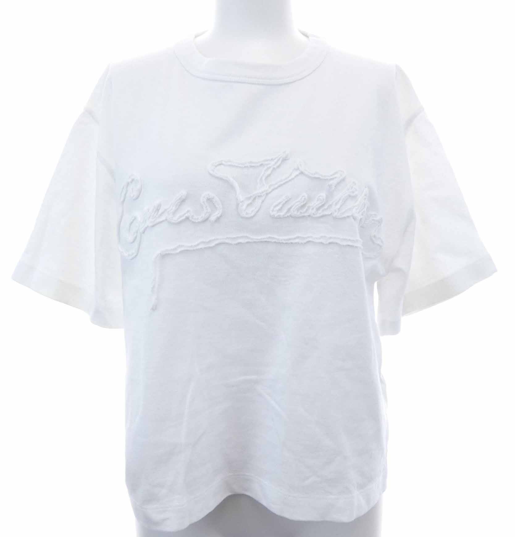 Ｔシャツ
