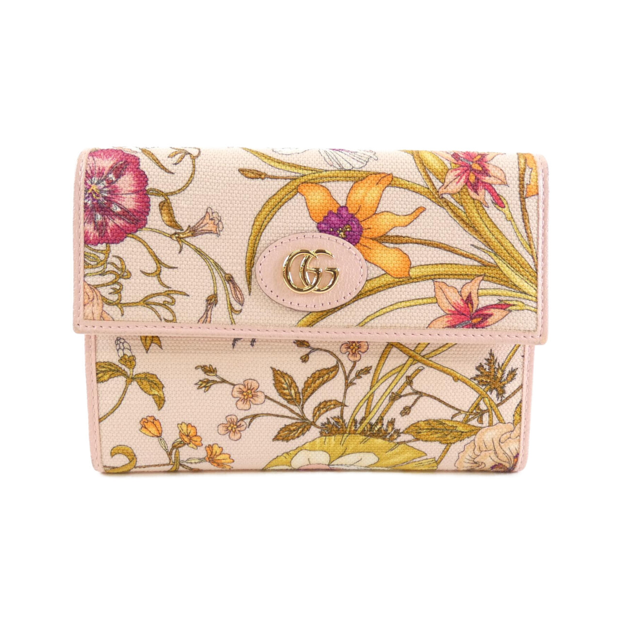 DOCUMENT CASE